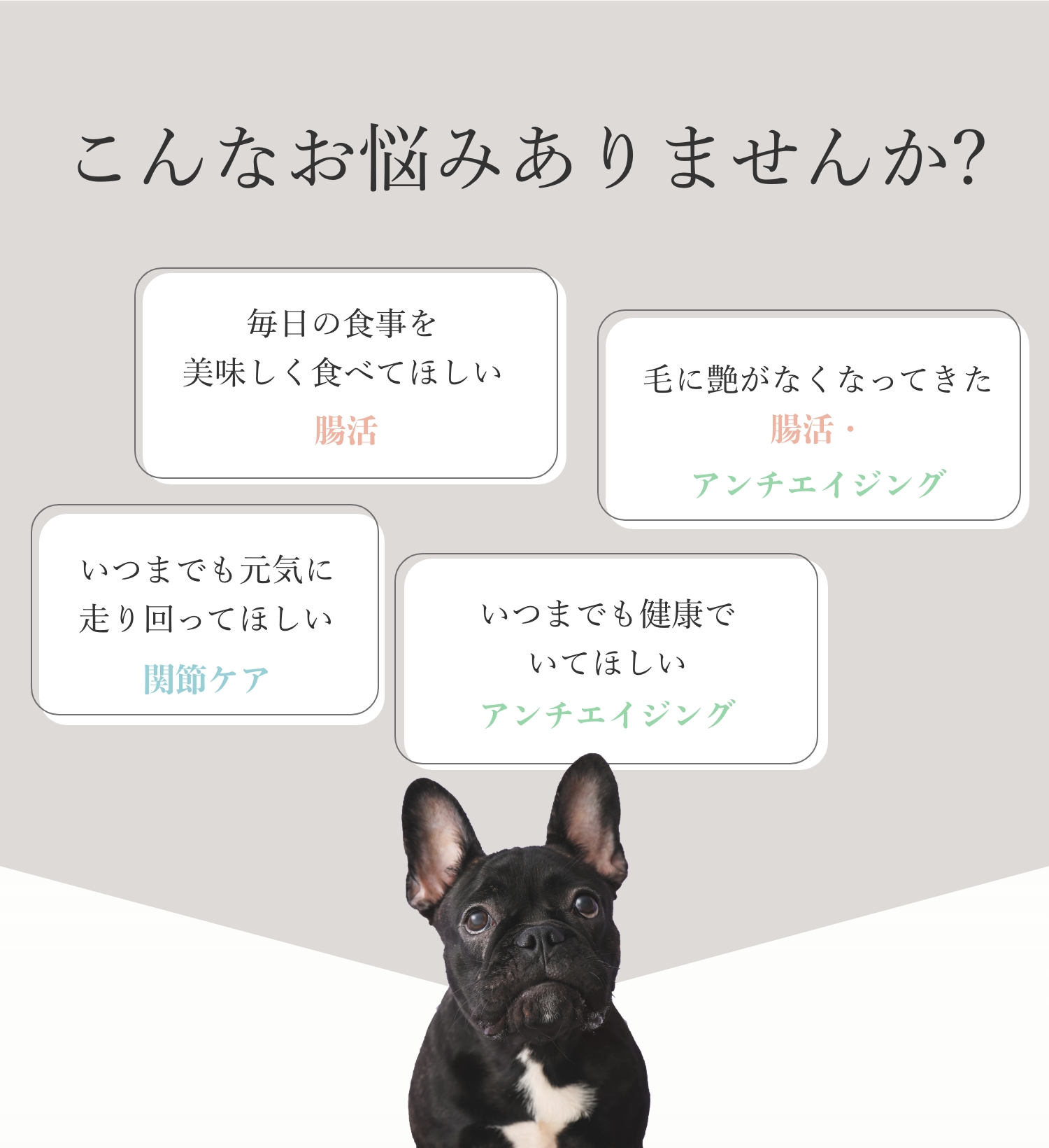 愛犬に関するこんなお悩みありませんか？